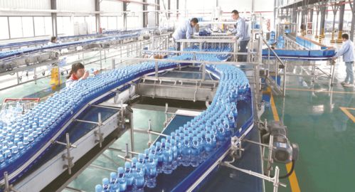 喜報(bào)！大豐榮登第二批國家全域旅游示范區(qū)名單，擘畫文旅發(fā)展新藍(lán)圖